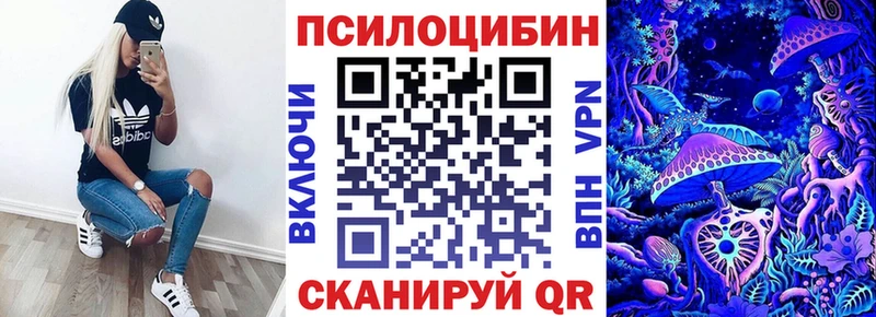 где купить наркотик  кракен ТОР  Псилоцибиновые грибы мухоморы  Сунжа 