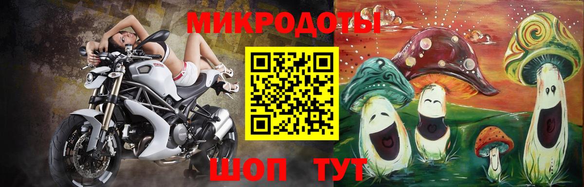Галлюциногенные грибы MAGIC MUSHROOMS  Псилоцибиновые грибы Psilocybe  сколько стоит  Сунжа  Вход с VPN 