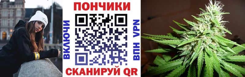 блэк спрут   Сунжа  Марихуана THC 21% 